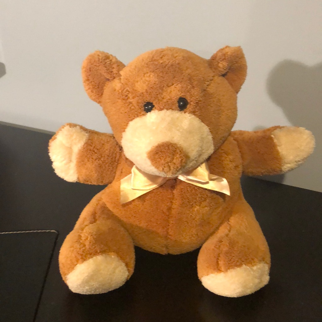 Super Soft Bear